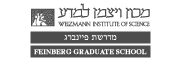 Weizmann Institute of Science, Feinberg Graduate School.