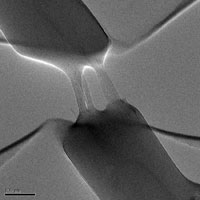 Fractured PMMA Nanofiber reinforced with SWNT Bundles