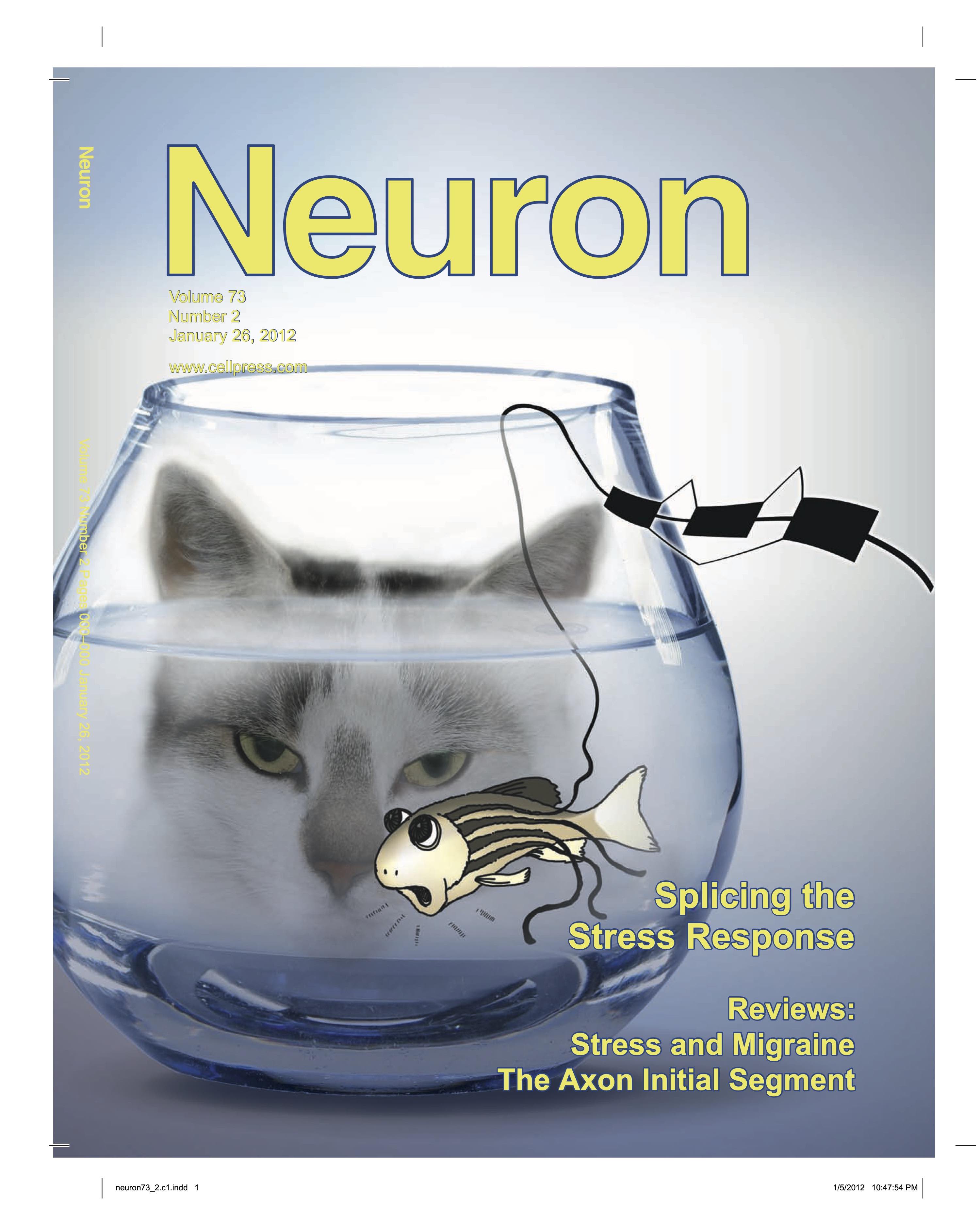 Neuron’s cover illustration (Jan. 26 issue); Spotlight On Disease  – Regulating Stress through Splicing